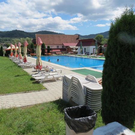 Pensiunea Cetina Brad  Exteriör bild