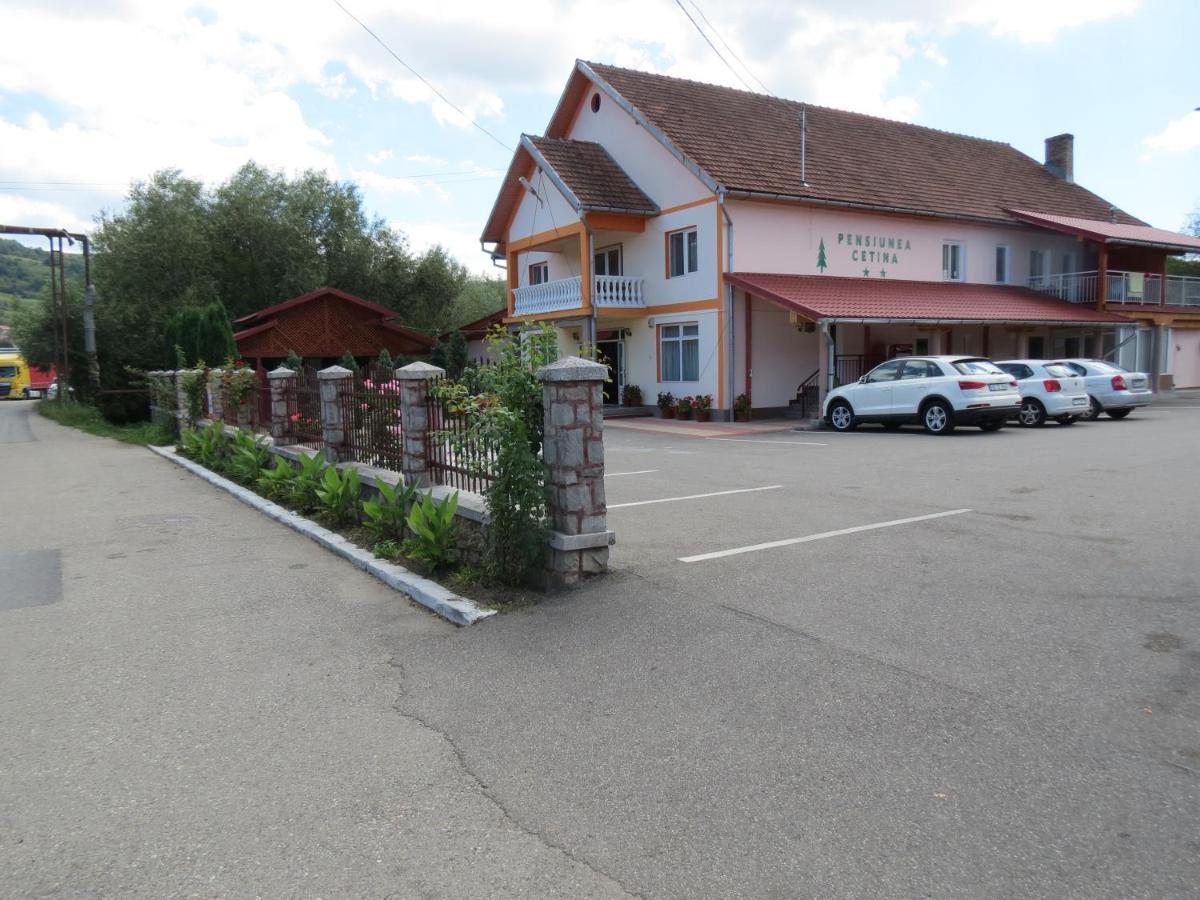Pensiunea Cetina Brad  Exteriör bild