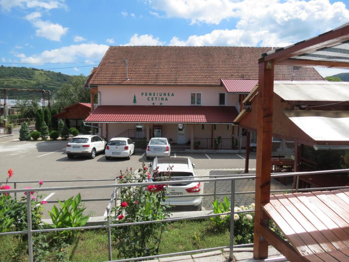 Pensiunea Cetina Brad  Exteriör bild