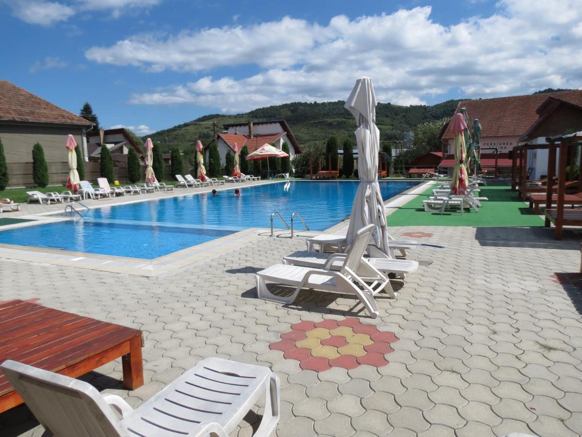 Pensiunea Cetina Brad  Exteriör bild