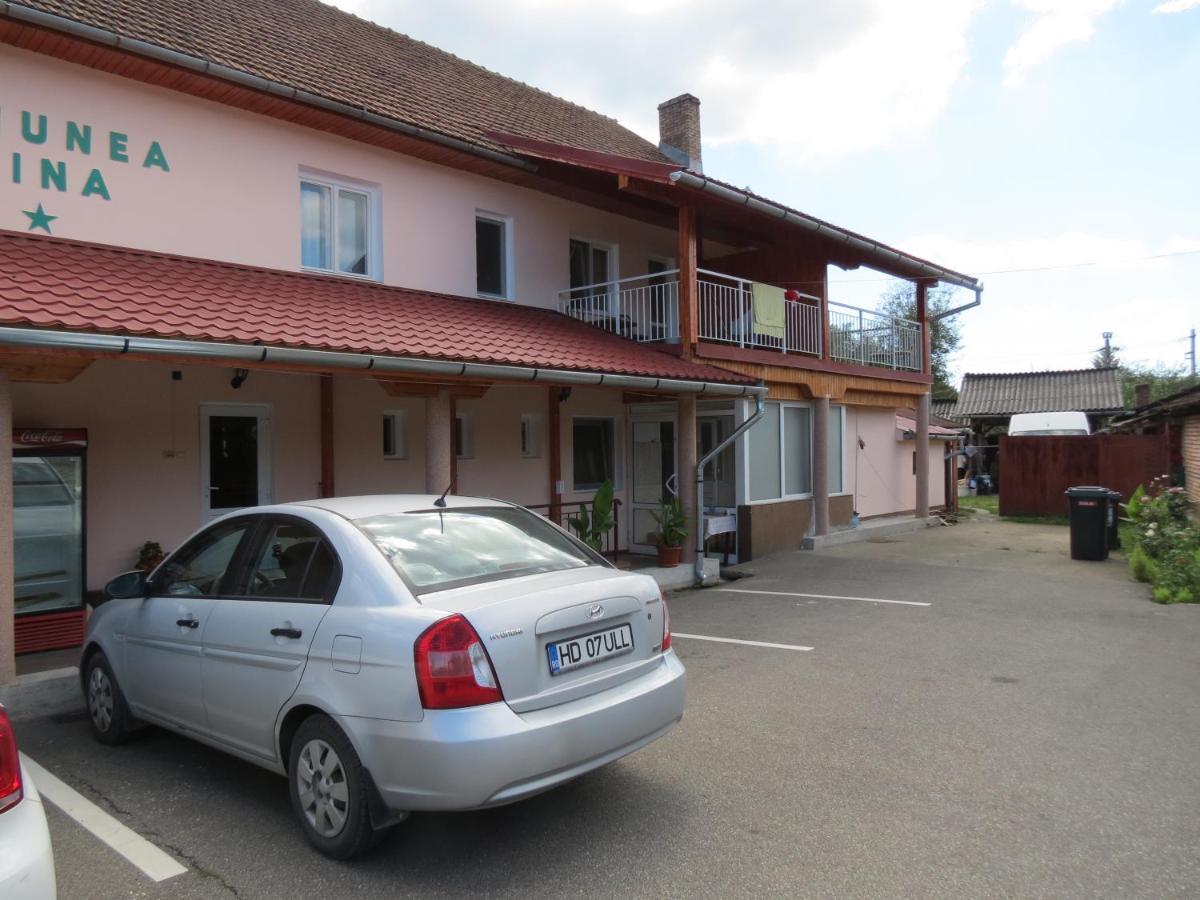Pensiunea Cetina Brad  Exteriör bild