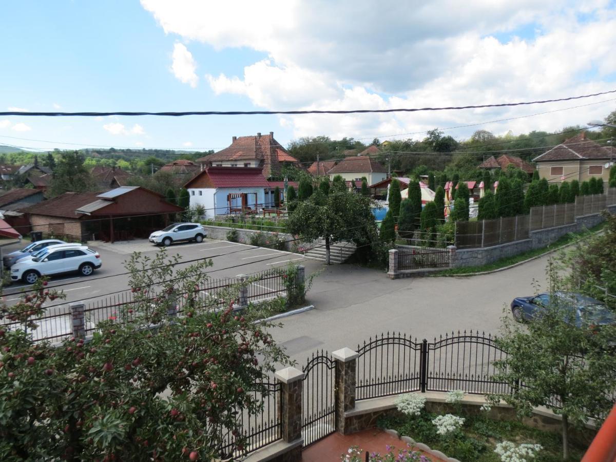 Pensiunea Cetina Brad  Exteriör bild
